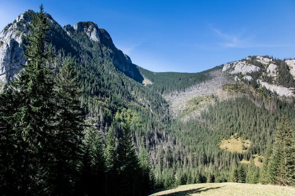 Tatry Kościelisko Noclegi